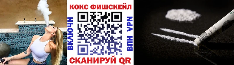 Кокаин Fish Scale  Купить закладки  Советская Гавань 