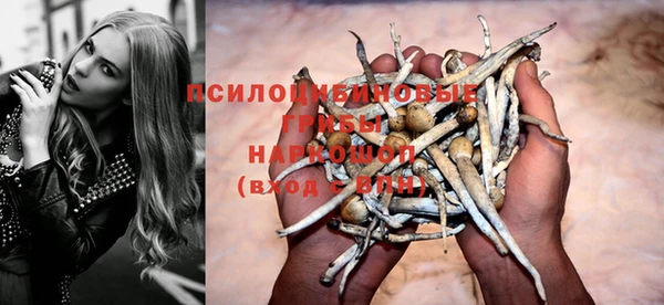 трава Верхний Тагил